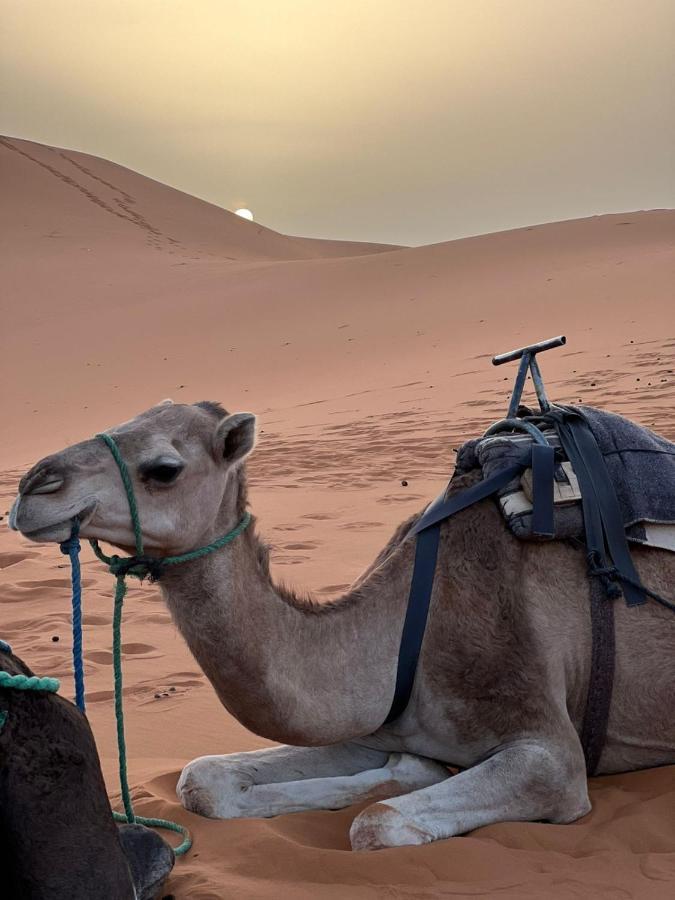 Riad Aicha & Camel Trekking Merzouga Exteriör bild