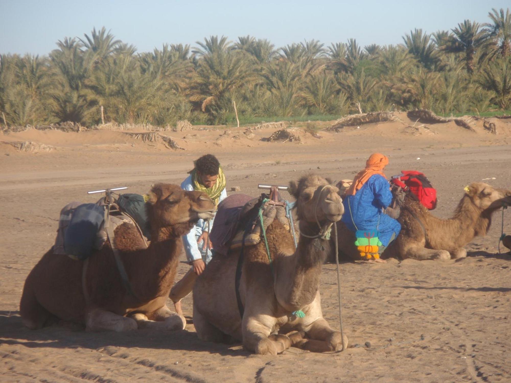 Riad Aicha & Camel Trekking Merzouga Exteriör bild